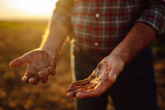 Tips for Farmers Choosing the Right Hand Cleaner to Remove Grime