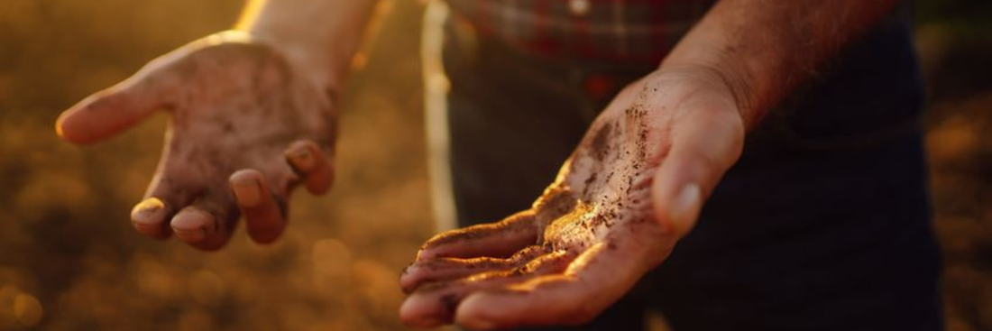 Tips for Farmers Choosing the Right Hand Cleaner to Remove Grime